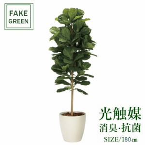 フェイクグリーン 観葉植物 フェイク 人工観葉植物  光触媒 造花 インテリア リアル おしゃれ お祝い 樹 木 室内  人気 空気清浄 玄関 リ