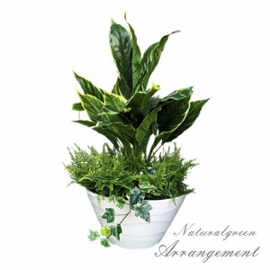 フェイクグリーン　人工観葉植物　ホスター　ホスターポット　グリーン置物　触媒加工　送料無料