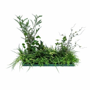 人工観葉植物　フェイクグリーン　オアシスグリーン置物　触媒加工　送料無料　２柄よりお選びください　造花　フェイク カフェ　店舗　