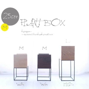 プラントボックスＭ 25幅 プランター ボックス Ｍタイプ 鉢置き 花台 観葉植物 飾り台 グリーンボックス PLANTBOX  ミドルタイプ OTTO 鉢