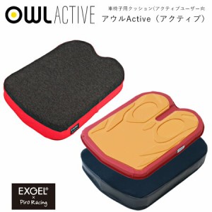 EXGEL アウルアクティブ 車椅子用クッション  【車いす】【ピロレーシング】【座位保持】【姿勢保持】【エクスジェル】【ざぶとん】【体