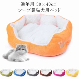 猫 ベッド 犬 ベッド ペットベッド 50×40cm ふわふわ 秋冬 犬用 猫用 小型犬 暖かい 猫ベッド 犬ベッド おしゃれ かわいい ねこ いぬ ネ