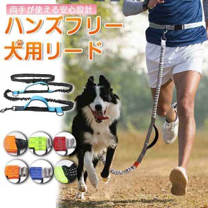 犬 ショルダーリード 肩掛け ハンズフリー ウエストリード 超小型犬 小型犬 斜め掛け シンプルショルダーリード メール便のみ送料無料 ド