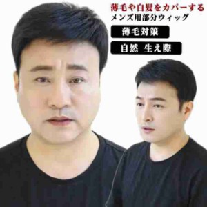 部分ウィッグ メンズウィッグ ポイントウィッグ 男性 自然 生え際 増毛 薄毛 かつら ヘアピース 男性用 紳士用 付け毛 薄毛対策 白髪隠し