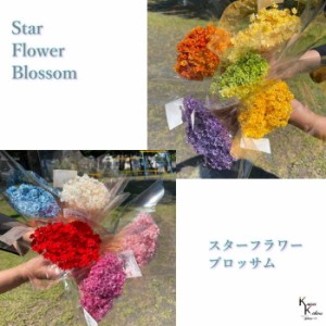 「大地農園　スターフラワー　ブロッサム　イエロー 半束」  小花 ドライフラワー ハーバリウム アロマワックスバー サシェ キャンドル 