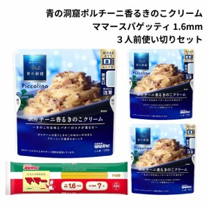 青の洞窟 スパゲッティ パスタソース セット レトルト ポルチーニ きのこクリーム あわせ買い ギフト 仕送りセット 電子レンジ調理 乾麺