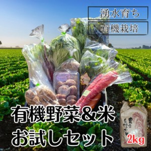 野菜＋米2kgお試しセット野菜 米 有機栽培 無農薬 熊本県産
