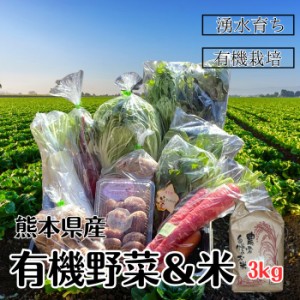 有機野菜＋米3kgセット 送料無料 有機栽培 無農薬