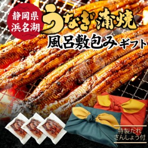 送料無料 国産うなぎ 真空パック 静岡産 蒲焼き3枚 化粧箱 海老仙  風呂敷Cset