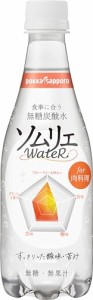 まとめ買い ポッカサッポロ 食事に合う無糖炭酸水 ソムリエウォーター for肉料理 410ml × 24本 イエローレモン