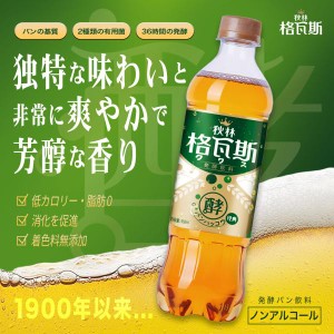 Persevere クワス 450ml 30本 パン発酵飲料 酵素ドリンク 炭酸飲料 乳酸菌飲料  健康消化サポート 自然発酵 ドリンク 腸内環境改善 ソフ