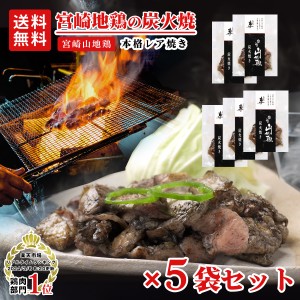 宮崎山地鶏 炭火焼き レア焼き 100g×5袋　　送料無料 冷凍便 宮崎地鶏 宮崎 地鶏 炭火焼き 真空パック 宮崎鶏 地 鶏 炭火焼 鳥 炭火焼き