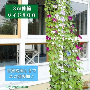 緑のカーテン ３ｍ 伸縮 80ｃｍ 立てかけ タイプ プランター ベランダ 家庭菜園 つる性植物 フェンス 目隠し 目隠しフェンス 壁掛け 日よ