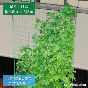 緑のカーテン 5ｍ 伸縮 80ｃｍ 吊り タイプ プランター ベランダ 家庭菜園 つる性植物 フェンス 目隠し 目隠しフェンス 壁掛け 日よけ 日