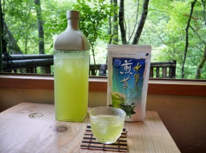 【霧の森】無農薬の新宮茶★すっきりとした清涼感★水出し煎茶ティーバッグ★10ｇ×10包入