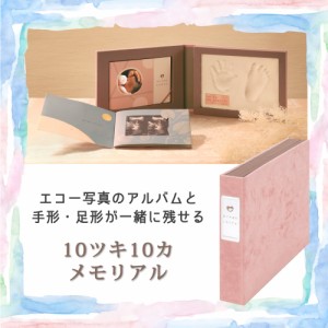 エコー写真 赤ちゃん ベビー アルバム 手形 足形 10ツキ10カ メモリアル ピンク