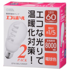 電球形蛍光灯 E26 60W相当 電球色 エコなボール 2個入 EFA15EL/12NX2P 04-5424 OHM オーム電機