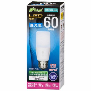 LED電球 T形 E26 60形相当 昼光色_LDT7D-G IS21 06-3612