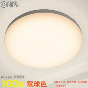 LED浴室灯 100形相当 電球色 要電気工事｜LT-F5415KL 06-3909 オーム電機