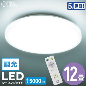 LEDシーリングライト 調光 12畳用 リモコン付 昼光色｜LE-Y45DBG-W5 06-5597 オーム電機