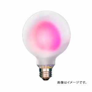 グローバル AMEDAMA フィラメントLEDカラー電球 フロストタイプ G95/E26 ピンク｜FLDF-G95P 16-6568