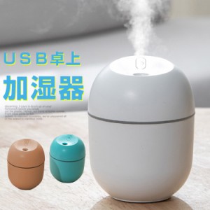 【500円OFFクーポン対象商品】 karei USB卓上加湿器 加湿器コンパクトミニ加湿器 運び用 卓上 充電 保湿 潤う 美容 健康 RO086