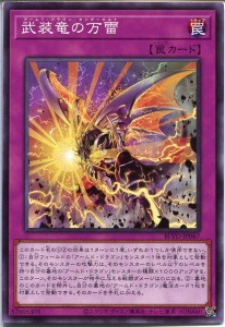 遊戯王カード サンダー・ボルト - 遊戯王