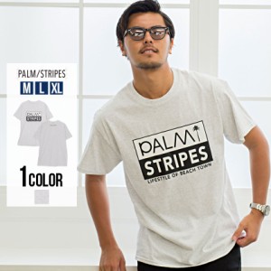 Tシャツ メンズ 半袖 PALM STRIPES パームストライプス ヤシの木ロゴプリントTシャツ 即日発送 トップス カットソー クルーネック パーム