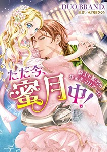 [新品]ただ今、蜜月中!騎士と姫君の年の差マリアージュ (1巻 全巻)