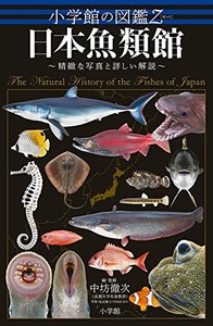 [新品]小学館の図鑑Z 日本魚類館: ~精緻な写真と詳しい解説~