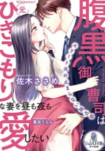 [新品][ライトノベル]腹黒御曹司は元ひきこもりな妻を昼も夜も愛したい (全1冊)