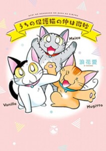 [新品]うちの保護猫の仲は微妙 (1巻 全巻)