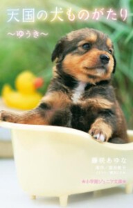 [新品][全巻収納ダンボール本棚付]天国の犬ものがたりシリーズ (全13冊) 全巻セット