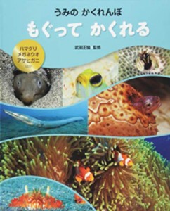 [新品]うみのかくれんぼ もぐってかくれる―ハマグリ・メガネウオ・アサヒガニほか