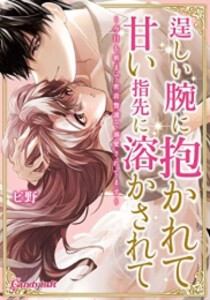 [新品]逞しい腕に抱かれて甘い指先に溶かされて 〜今日も朝まで密着警護で溺愛されてます〜 (1巻 全巻)