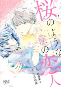 [新品]桜のような僕の恋人 (1-2巻 最新刊) 全巻セット