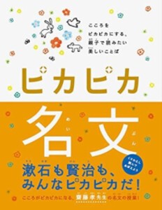 [新品]ピカピカ名文