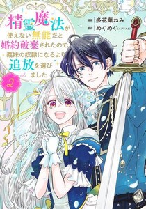 [新品]精霊魔法が使えない無能だと婚約破棄されたので、義妹の奴隷になるより追放を選びました (1-2巻 最新刊) 全巻セット