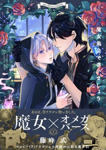 [新品]魔女集会で番いましょう (1巻 最新刊)