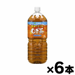 健康ミネラルむぎ茶　2L×6本 ※他商品同時注文同梱不可  4901085244487