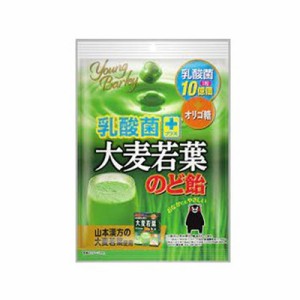 乳酸菌+大麦若葉のど飴 クマモン　120g 4950233494212