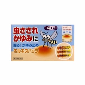 【第2類医薬品】【メール便送料無料】(税制対象)ホルキスパッチ 40枚 4987379903643