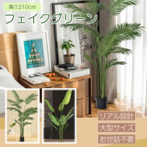 観葉 植物 エバーフレッシュの通販｜au PAY マーケット