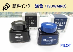 パイロットインク 万年筆用ボトルインク  顔料インク INK30TW  1100円 黒 ブルーブラック ブルー ボトルインキ 30ml