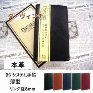 システム手帳 ダヴィンチ 超薄型 本革 スリム B6 8800円 JDB3007 6穴 バイブル ジャストサイズ カラー5色 レイメイ プレゼント 送料込