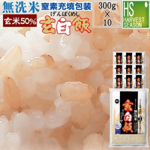 令和5年産 無洗米 玄白飯(げんぱくめし)300g(2合) ×10袋(計3kg)【送料無料/北海道沖縄へは別途送料760円】【鮮度を保つ窒素充填】