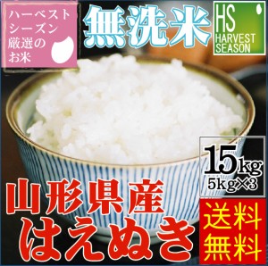 令和5年産 無洗米 特別栽培米 山形県産 はえぬき 15kg(5kg×3袋)  送料無料 [翌日配送]/北海道沖縄へは別途送料760円