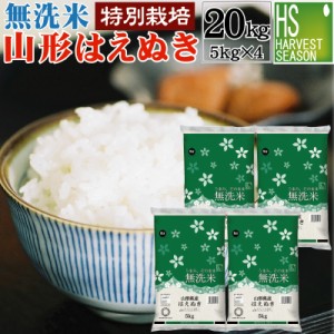 令和5年産 無洗米 特別栽培米 山形県産 はえぬき 20kg(5kg×4袋)  送料無料 [翌日配送]/ 北海道沖縄へは別途送料760円