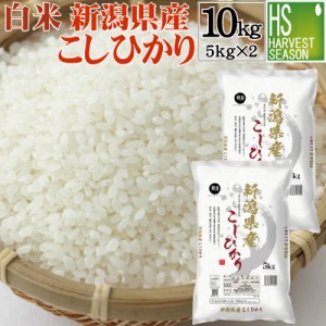 白米 令和5年産 新潟県産コシヒカリ 10kg(5kg×2袋) 送料無料 [翌日配送]/北海道沖縄へは別途送料760円