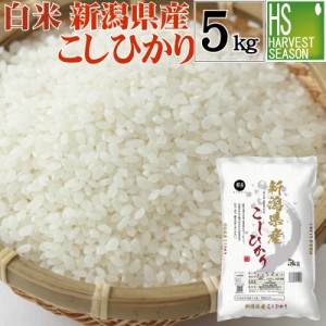 白米 令和5年産 新潟県産コシヒカリ 5kg 送料無料 [翌日配送]/北海道沖縄へは別途送料760円